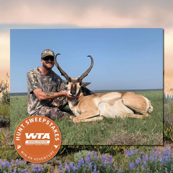 New Mexico Antelope Sweepstakes
