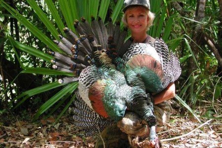 13 CAMPECHE AVES (92)