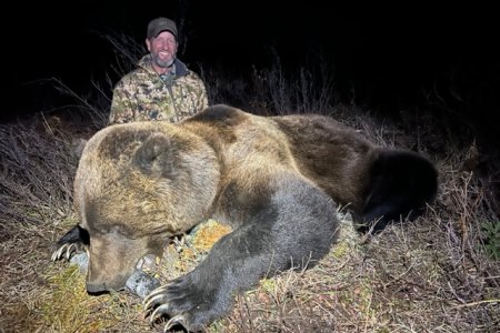 2023 bear #3