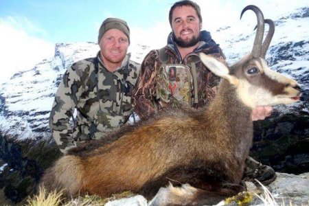 Chamois Hunting In New Zealand - Big Game Hunting Adventures