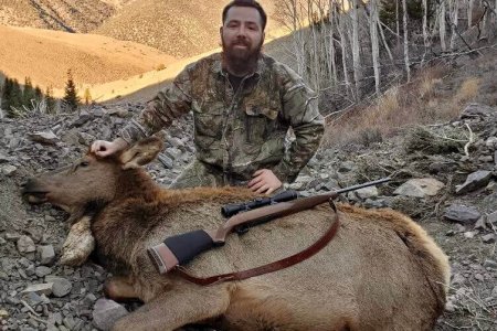 GOSHUTE COW #3 - '21