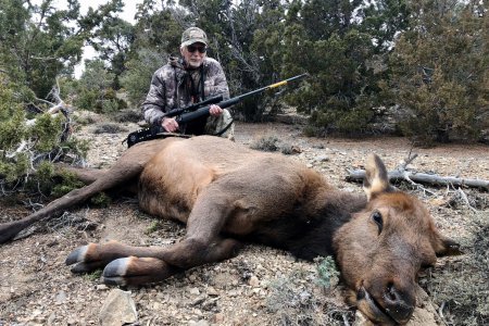 GOSHUTE COW #4 - '21