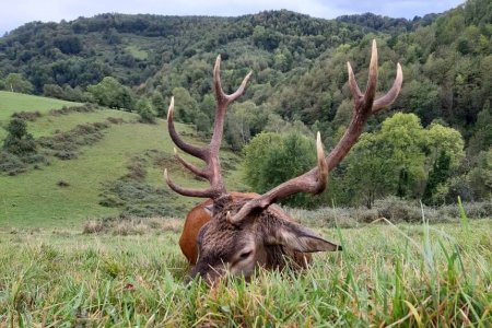 WhatsApp Image 2022-06-24 at 8.45.14 AM