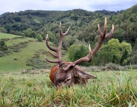 WhatsApp Image 2022-06-24 at 8.45.14 AM