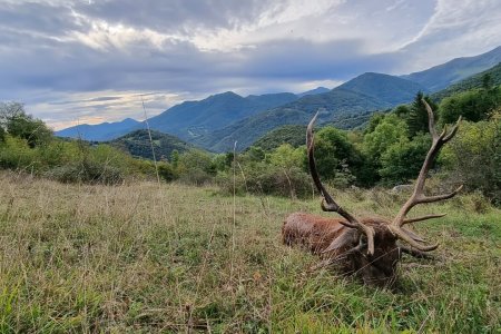 WhatsApp Image 2022-06-24 at 8.45.19 AM (2)