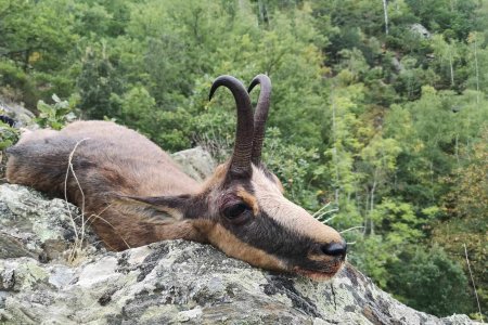 WhatsApp Image 2022-06-24 at 8.51.45 AM