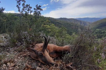 WhatsApp Image 2022-06-24 at 8.52.50 AM (3)