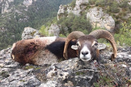 WhatsApp Image 2022-06-24 at 8.58.39 AM