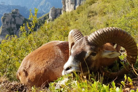 WhatsApp Image 2022-06-24 at 8.59.16 AM