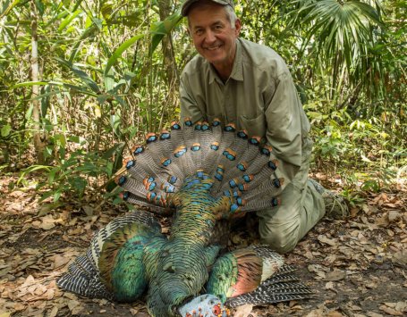 balam-outfitters-ocellated-turkey-hunt-success