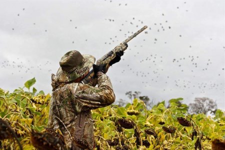 wta_1629_7V5BTW_IMG_1132_preview