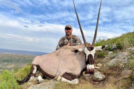 wta_590_5-Gemsbuck-scaled