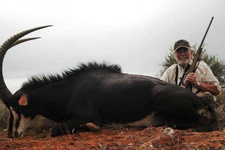 wta_590_AUV4OO_071_africa-65